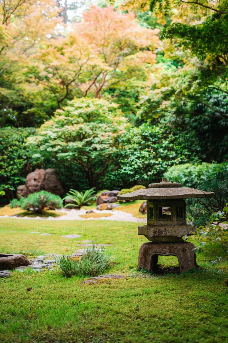 Japanese garden