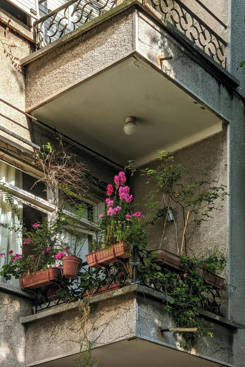flowering balcony