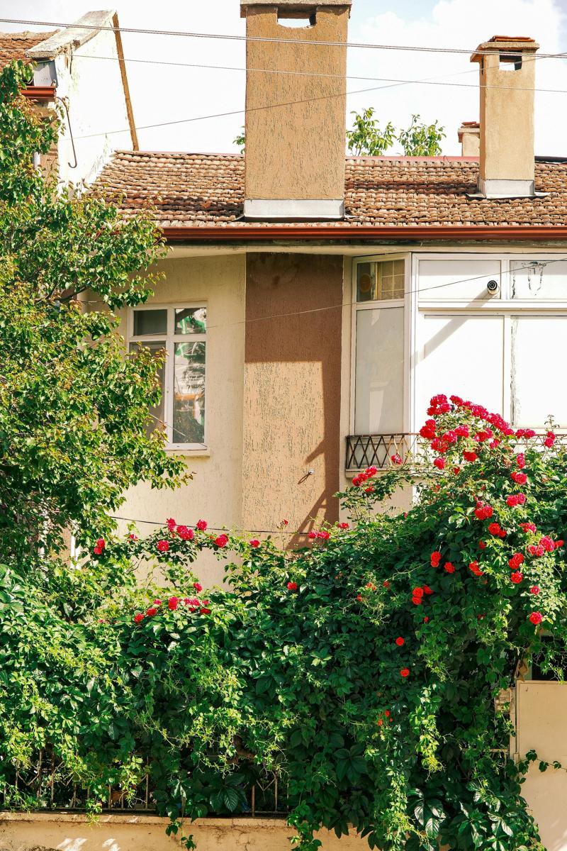 flowering balcony