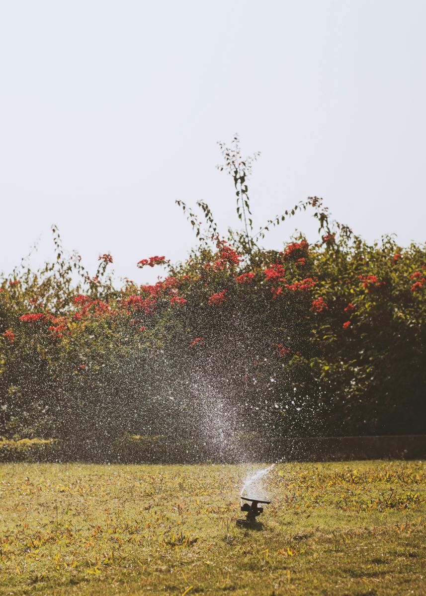 garden irrigation