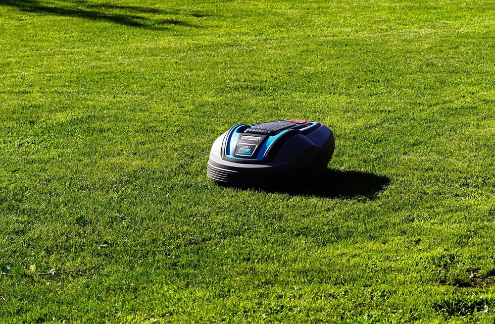 garden maintenance