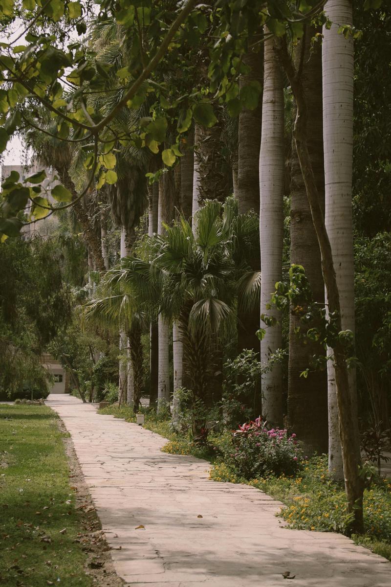 garden path