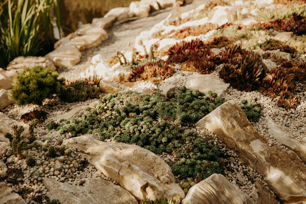 rock garden