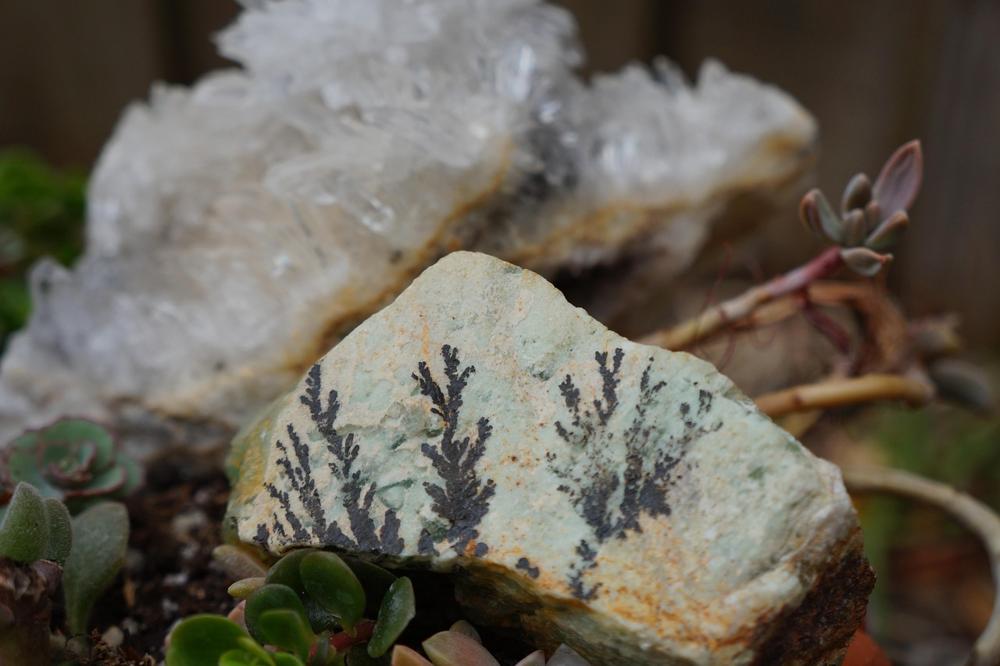 rock garden