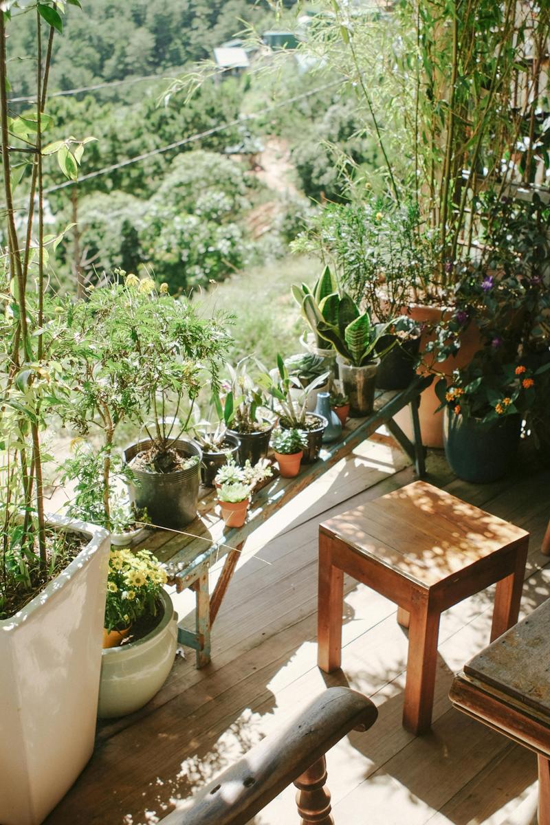 small garden